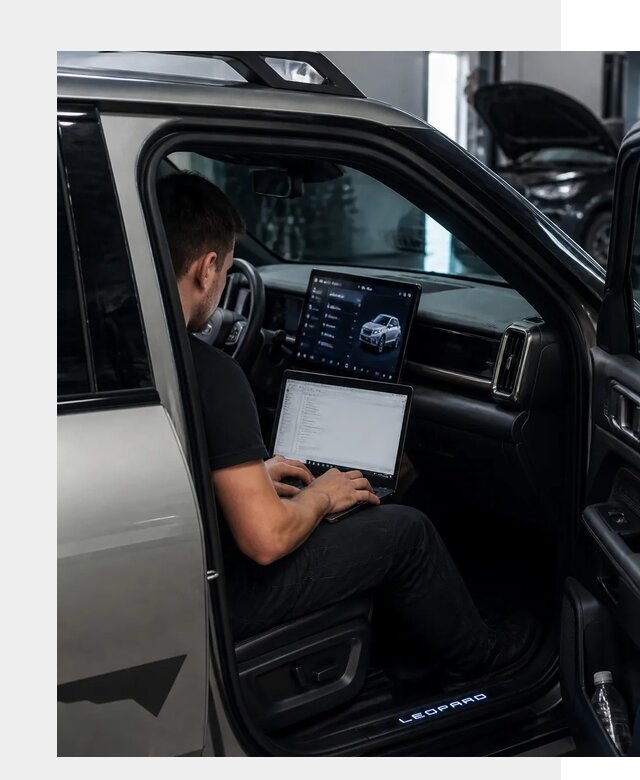 Русификация BYD Leopard 3 в Железногорске по цене от 20340 р. | ФастМобиль-Жлк